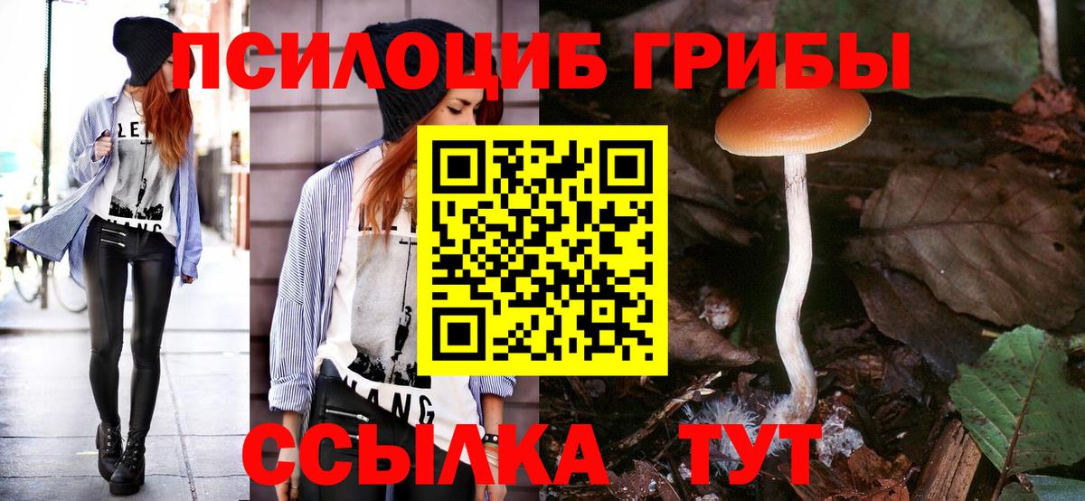 Псилоцибиновые грибы MAGIC MUSHROOMS  Вход с VPN  Надым 