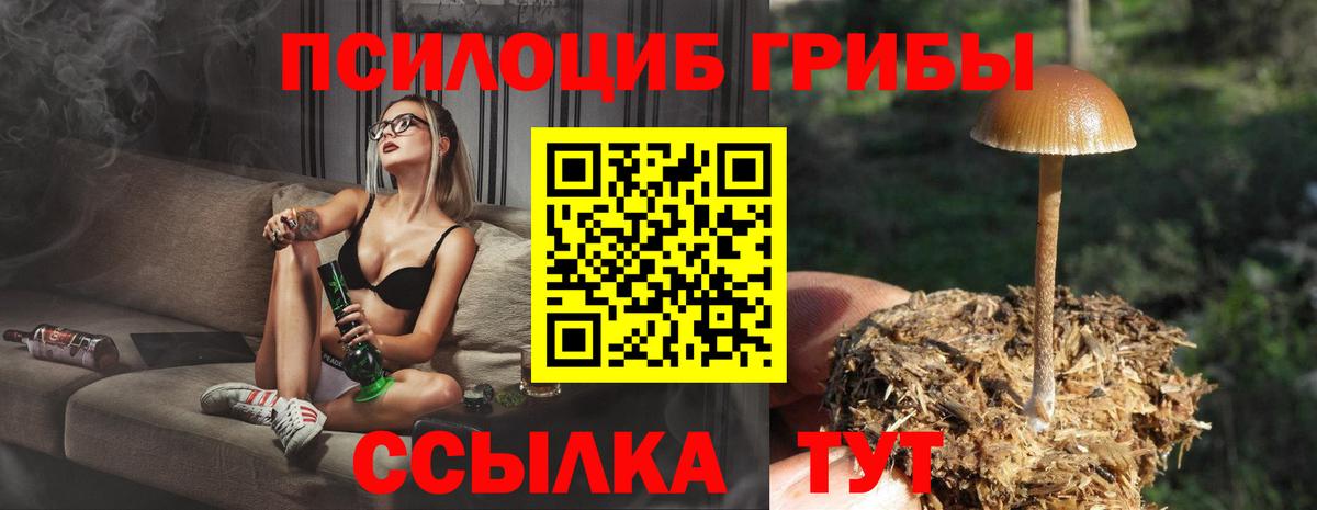 Псилоцибиновые грибы MAGIC MUSHROOMS Надым